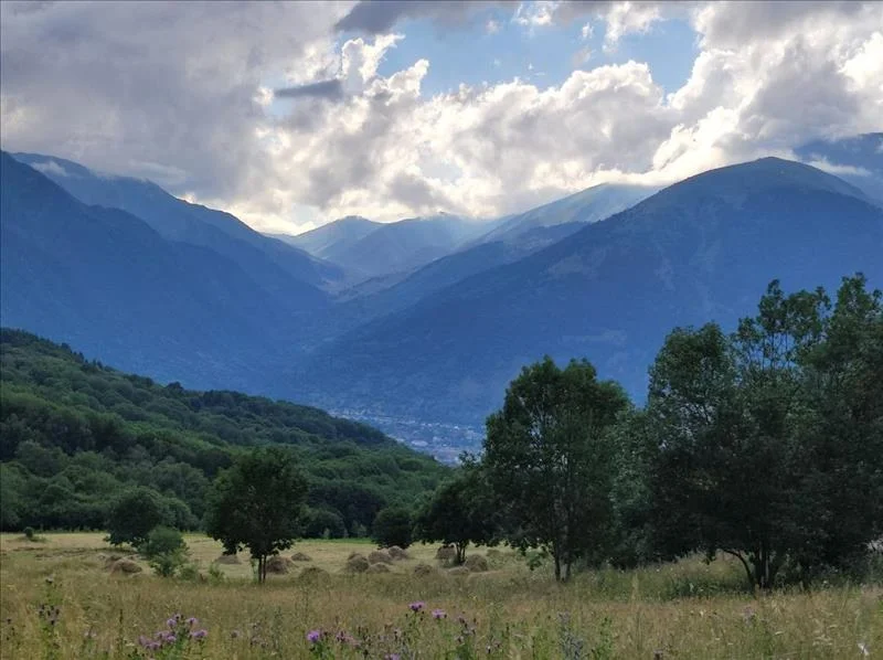 Джамагатские нарзаны